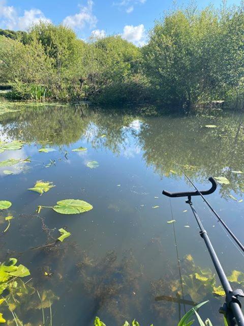 Marsh Water Ponds Fishery Villa Kidwelly Esterno foto