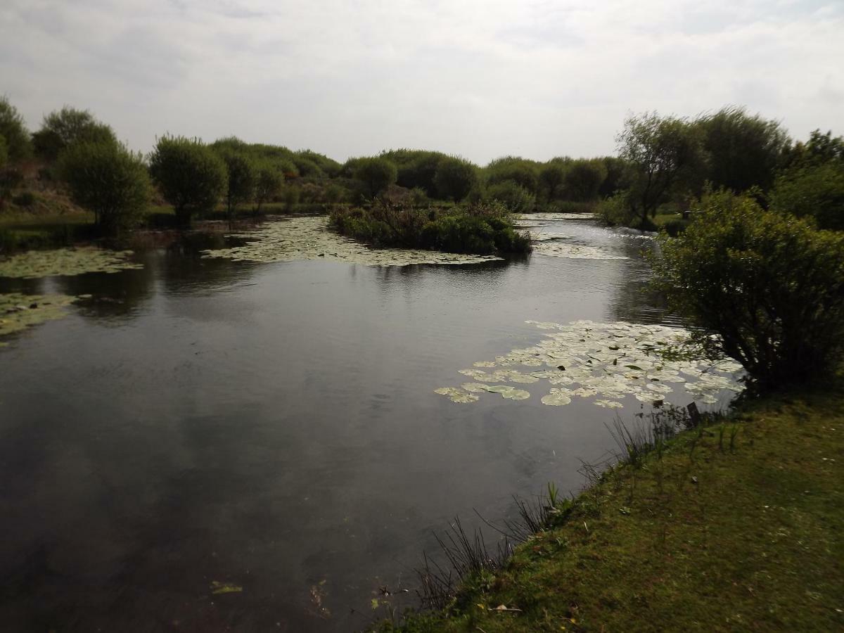 Marsh Water Ponds Fishery Villa Kidwelly Esterno foto