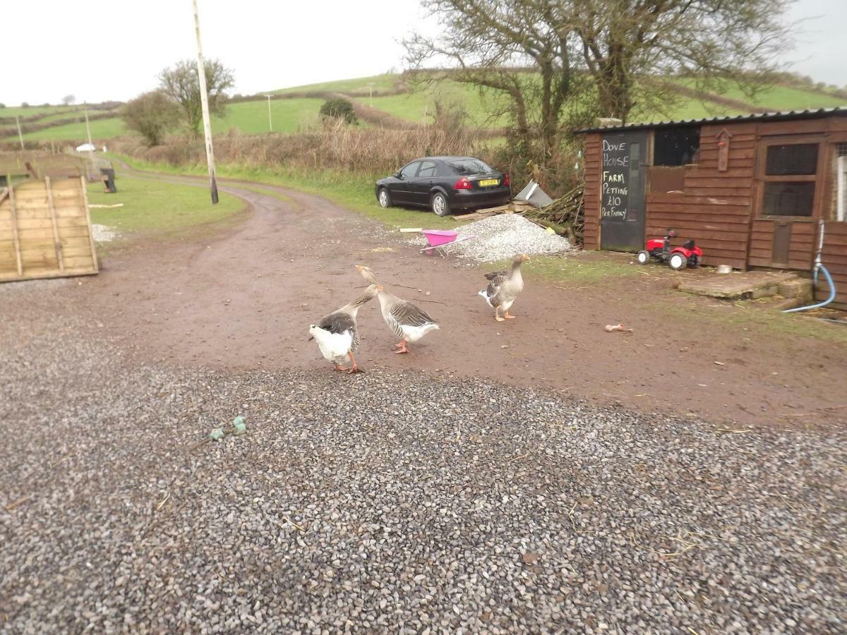 Marsh Water Ponds Fishery Villa Kidwelly Esterno foto