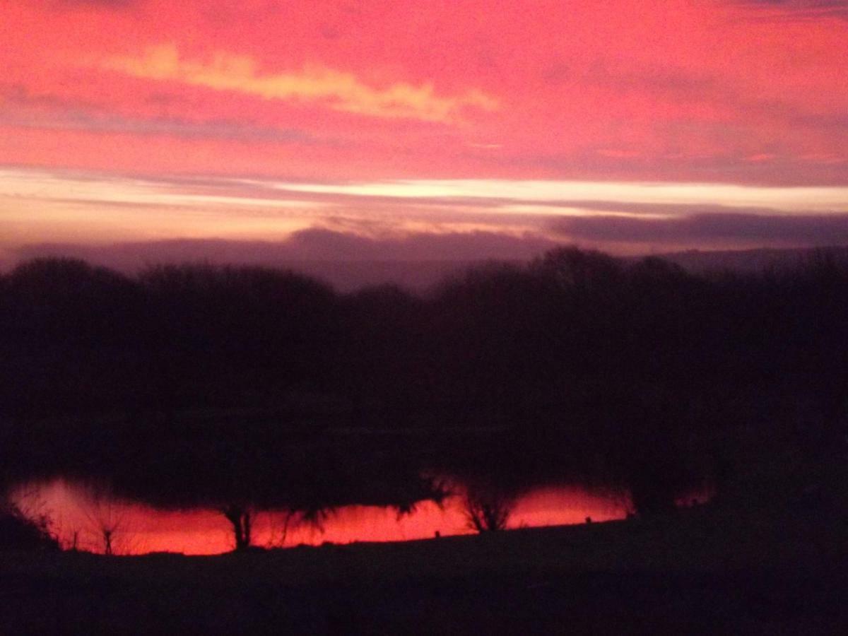 Marsh Water Ponds Fishery Villa Kidwelly Esterno foto