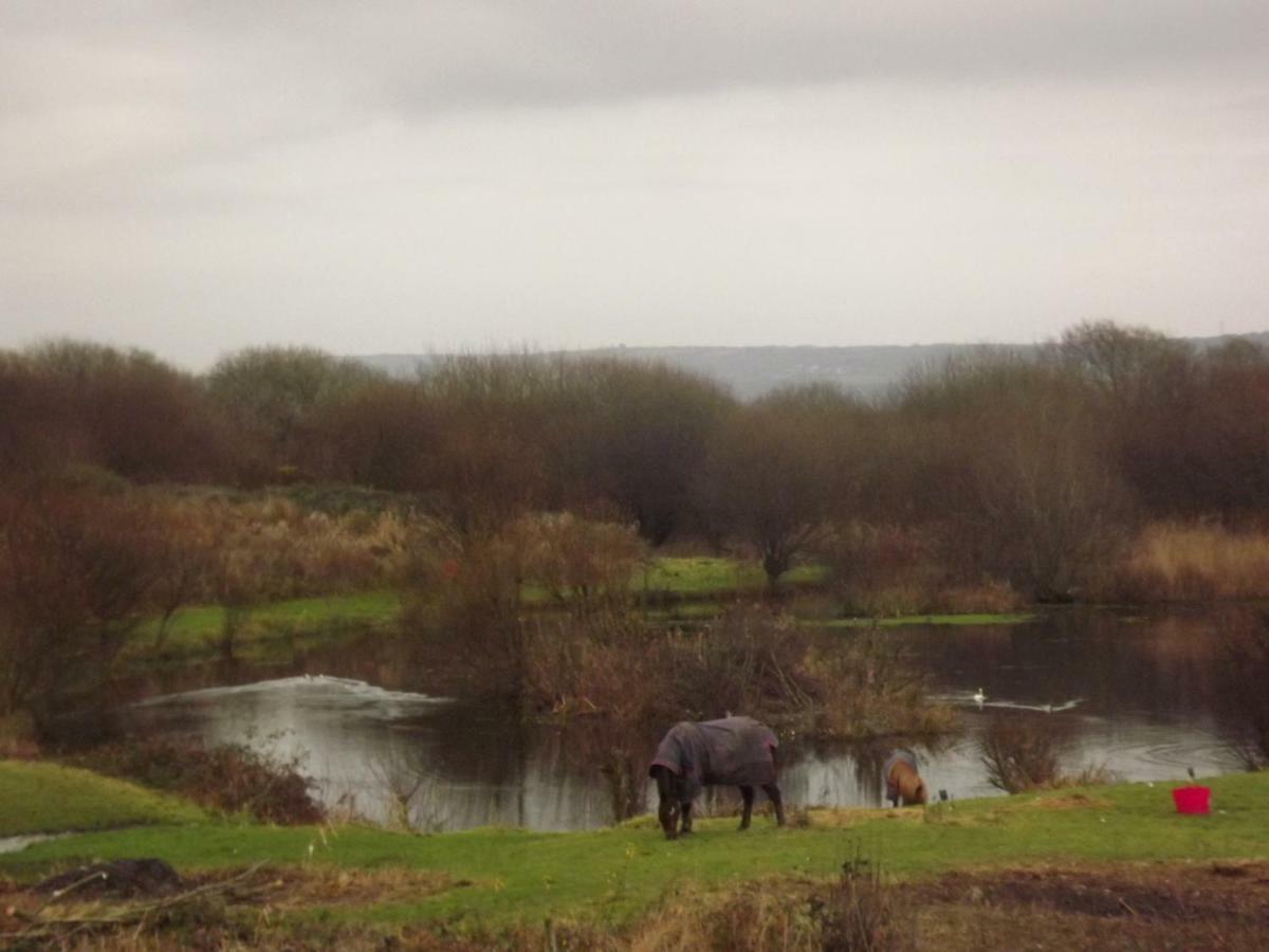 Marsh Water Ponds Fishery Villa Kidwelly Esterno foto