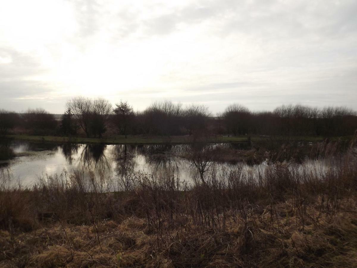 Marsh Water Ponds Fishery Villa Kidwelly Esterno foto