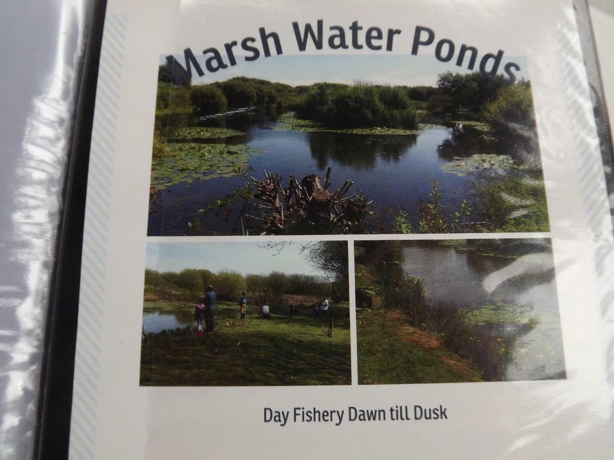 Marsh Water Ponds Fishery Villa Kidwelly Esterno foto